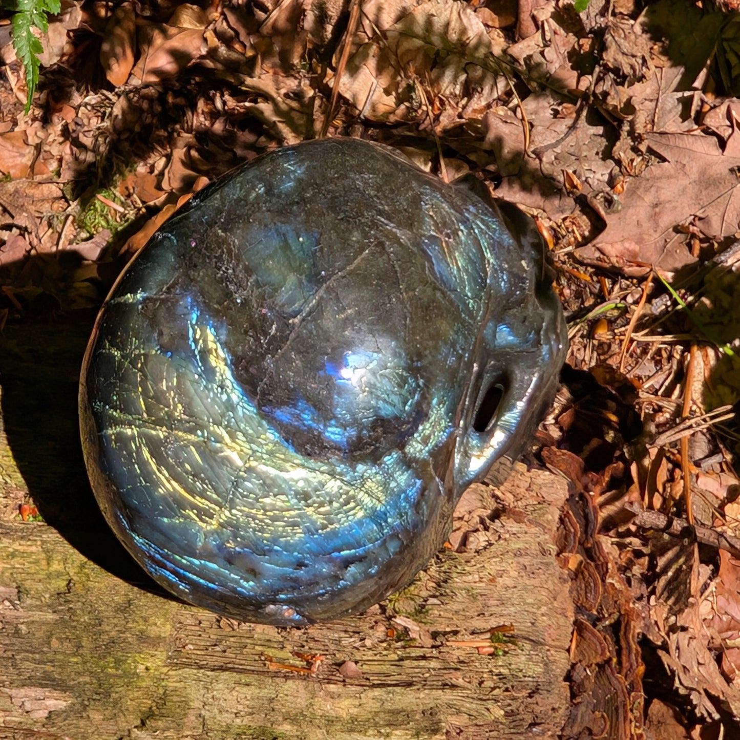 Labradorit Kristallschädel "Kosmischer Wächter" mit schillernden Farben.