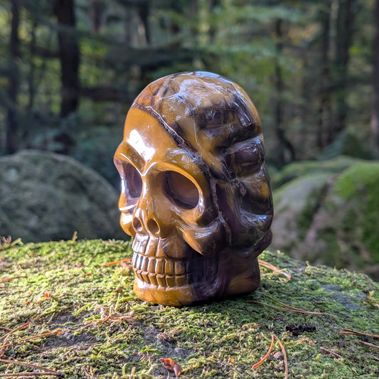 Limitierter Mookait Jaspis Kristallschädel (1,6kg) "Der Wächter der Ahnen" mit ocker-gelben und violetten Mustern auf Moos