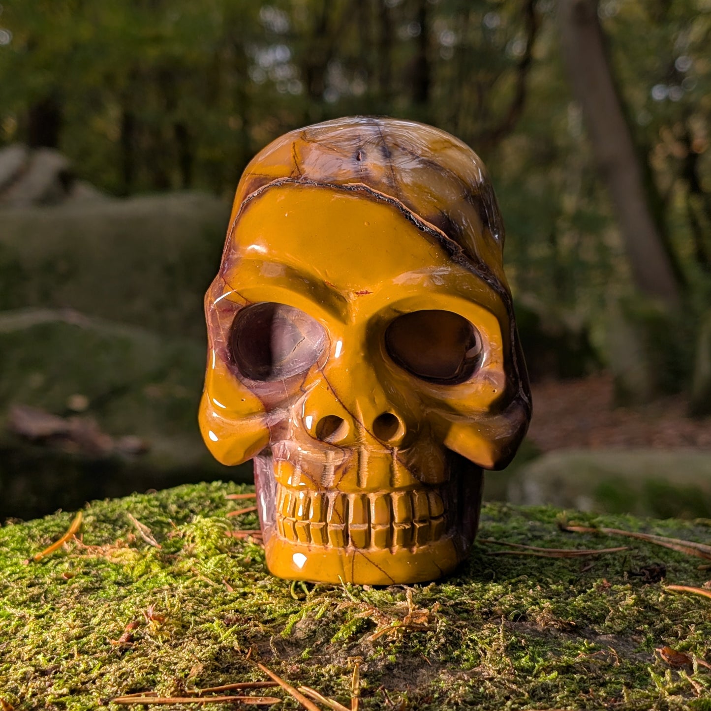 Limitierter Mookait Jaspis Kristallschädel (1,6kg) "Der Wächter der Ahnen" mit ocker-gelben und violetten Mustern auf Moos