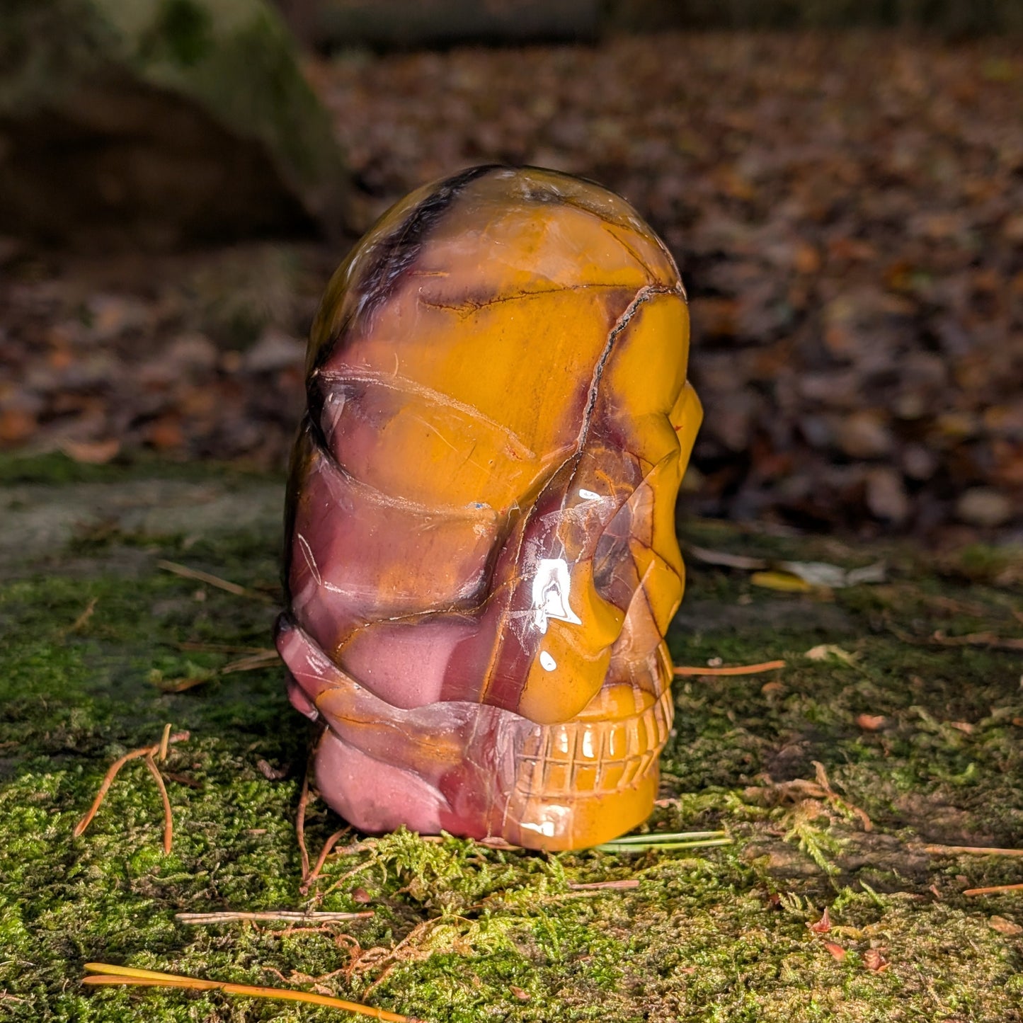 Limitierter Mookait Jaspis Kristallschädel (1,6kg) "Der Wächter der Ahnen" mit ocker-gelben und violetten Mustern auf Moos