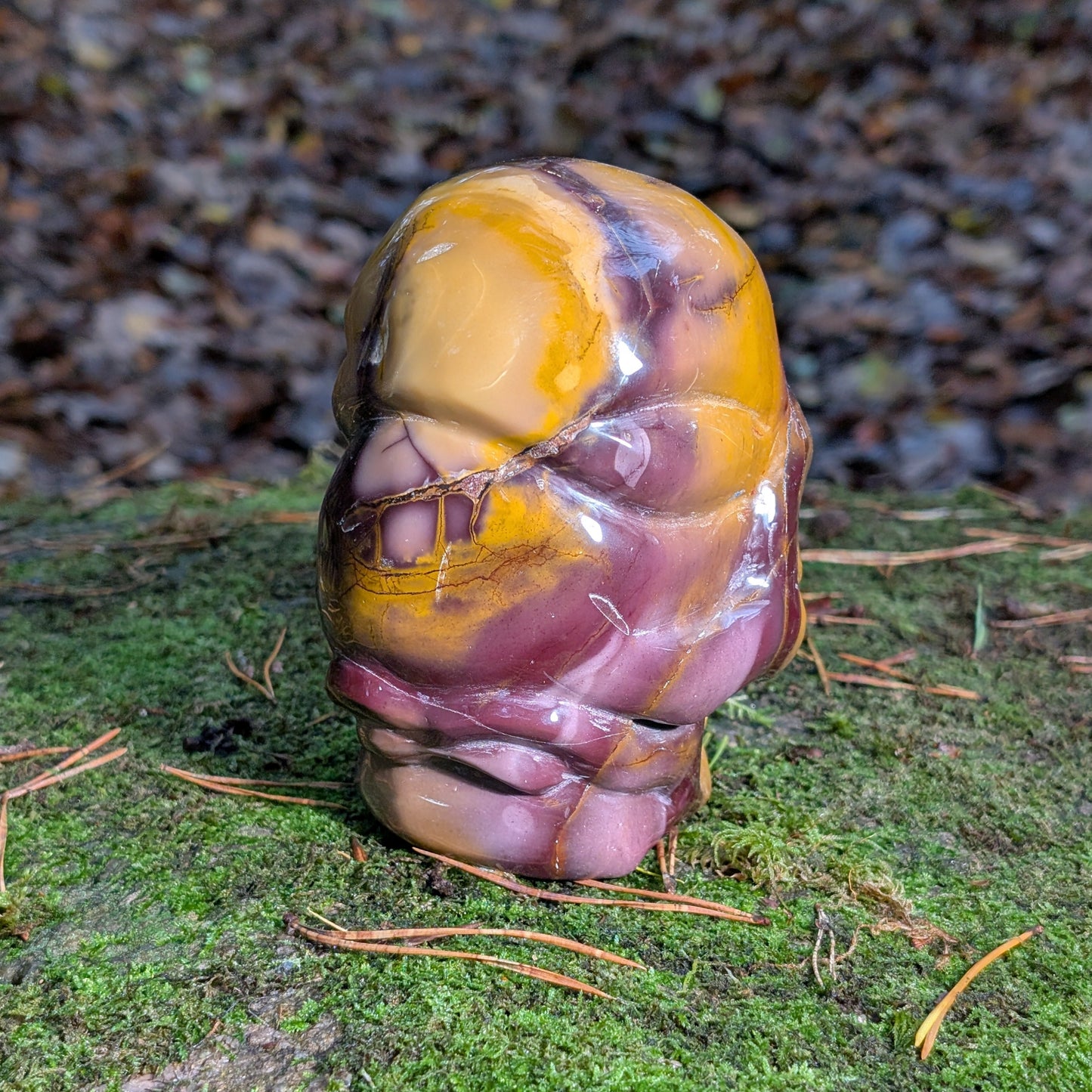 Limitierter Mookait Jaspis Kristallschädel (1,6kg) "Der Wächter der Ahnen" mit ocker-gelben und violetten Mustern auf Moos