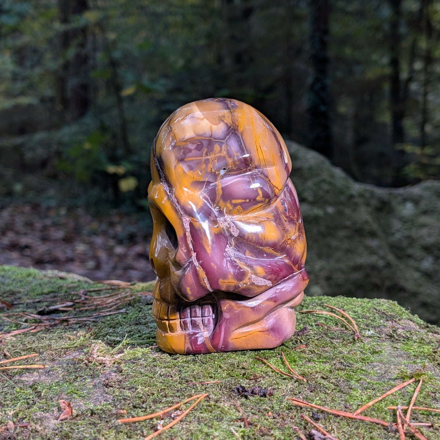 Limitierter Mookait Jaspis Kristallschädel (1,6kg) "Der Wächter der Ahnen" mit ocker-gelben und violetten Mustern auf Moos