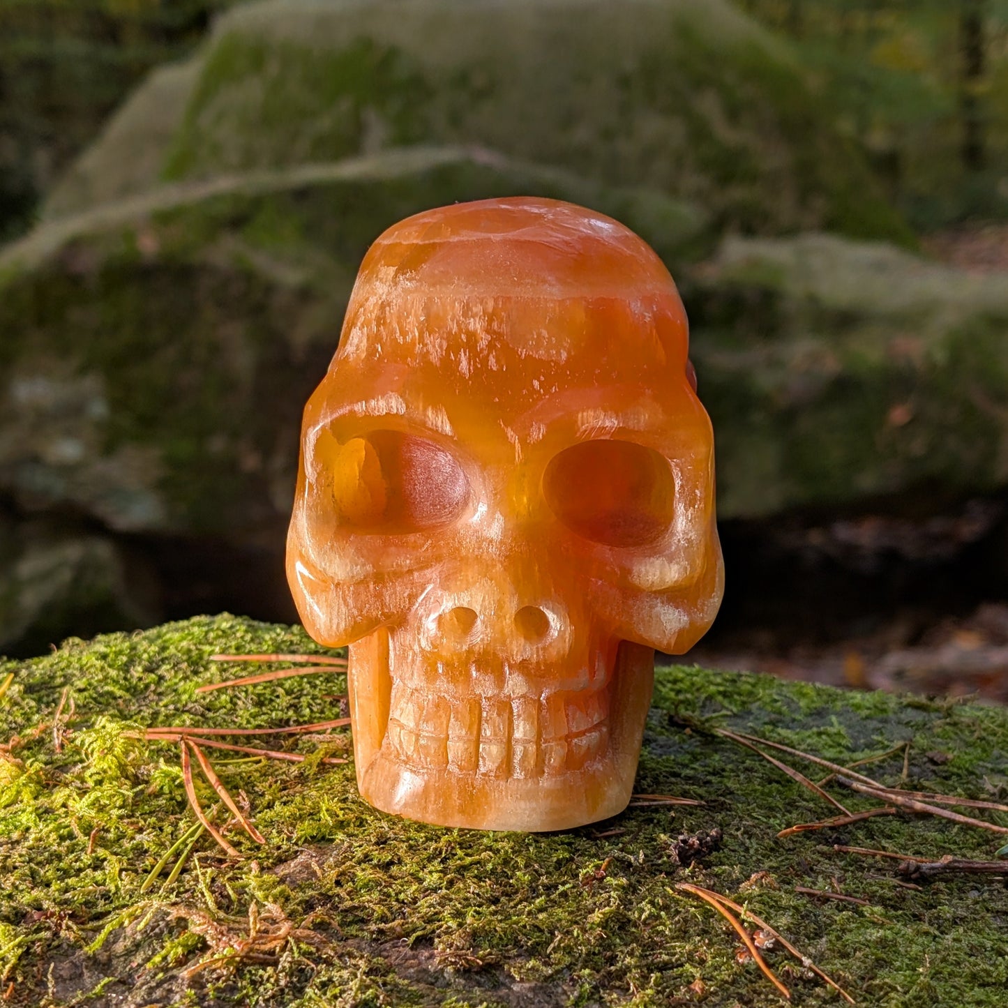 Limitierter Orangencalcit Kristallschädel (1,56kg), "Der Sonnen-Gesandte von Bali", leuchtet in tiefem Orange