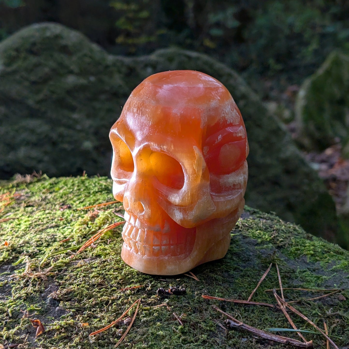 Limitierter Orangencalcit Kristallschädel (1,56kg), "Der Sonnen-Gesandte von Bali", leuchtet in tiefem Orange