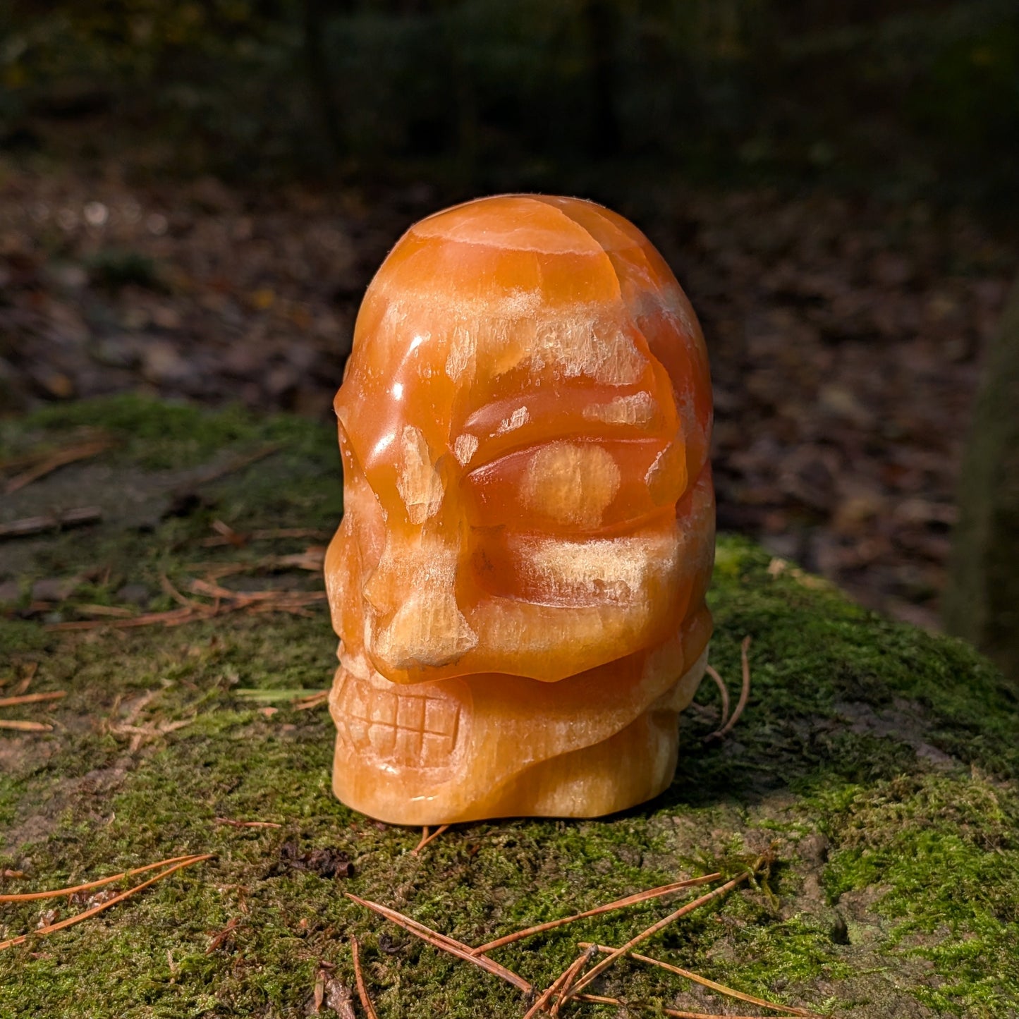 Limitierter Orangencalcit Kristallschädel (1,56kg), "Der Sonnen-Gesandte von Bali", leuchtet in tiefem Orange