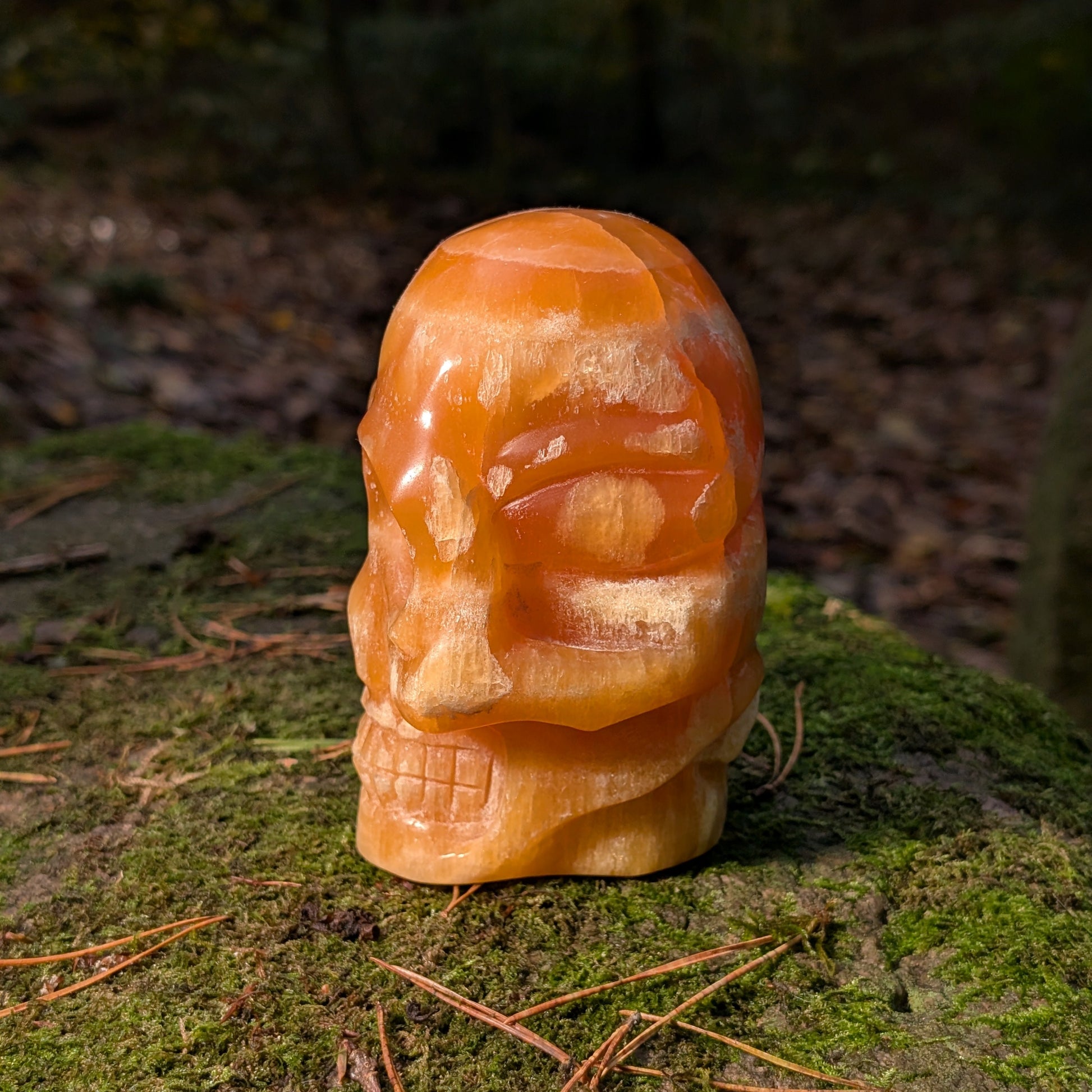 Limitierter Orangencalcit Kristallschädel (1,56kg), "Der Sonnen-Gesandte von Bali", leuchtet in tiefem Orange