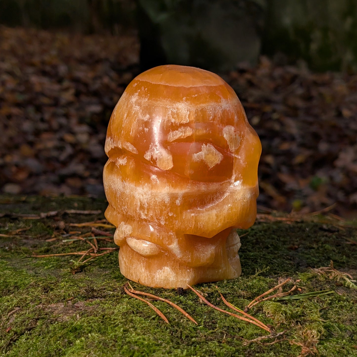 Limitierter Orangencalcit Kristallschädel (1,56kg), "Der Sonnen-Gesandte von Bali", leuchtet in tiefem Orange