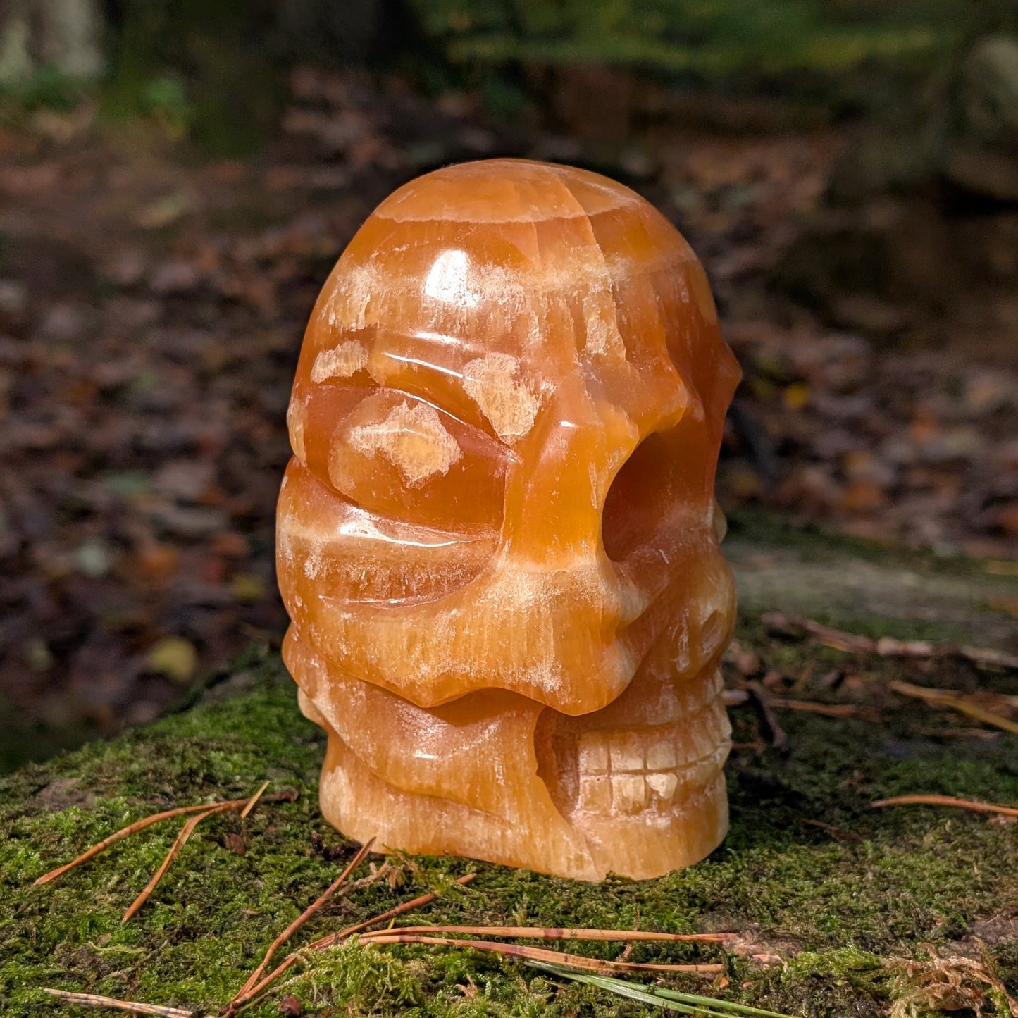 Limitierter Orangencalcit Kristallschädel (1,56kg), "Der Sonnen-Gesandte von Bali", leuchtet in tiefem Orange