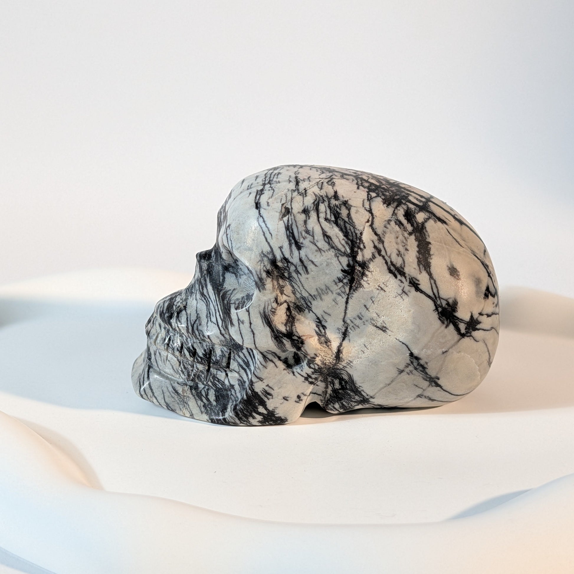 Massiver Kristallschädel Kyra aus knochenweißem Magnesit, zerschnitten von extrem harten, pechschwarzen Gesteinsadern.