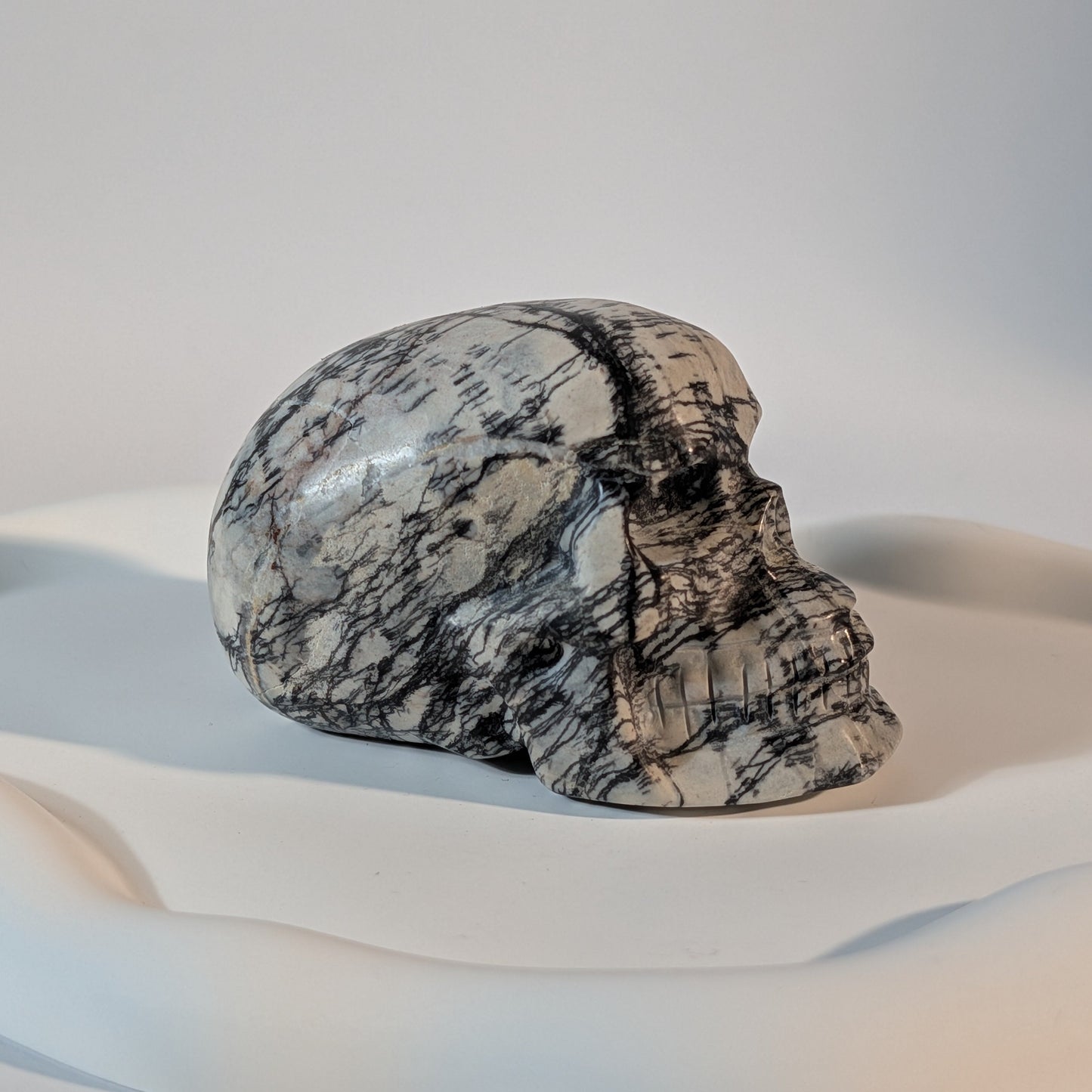 Massiver Kristallschädel Kyra aus knochenweißem Magnesit, zerschnitten von extrem harten, pechschwarzen Gesteinsadern.
