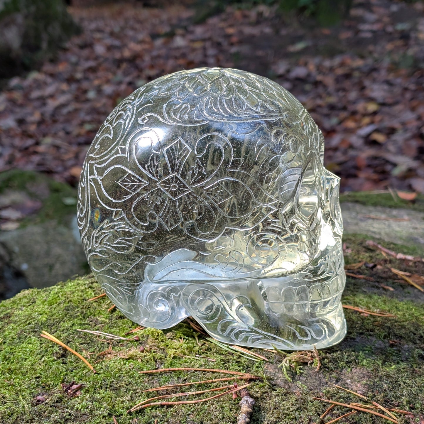 Monumentaler 6.4kg Kristallschädel "Hekate" aus gelbem Obsidian mit vollflächiger Handgravur, auf Moos im Wald liegend.