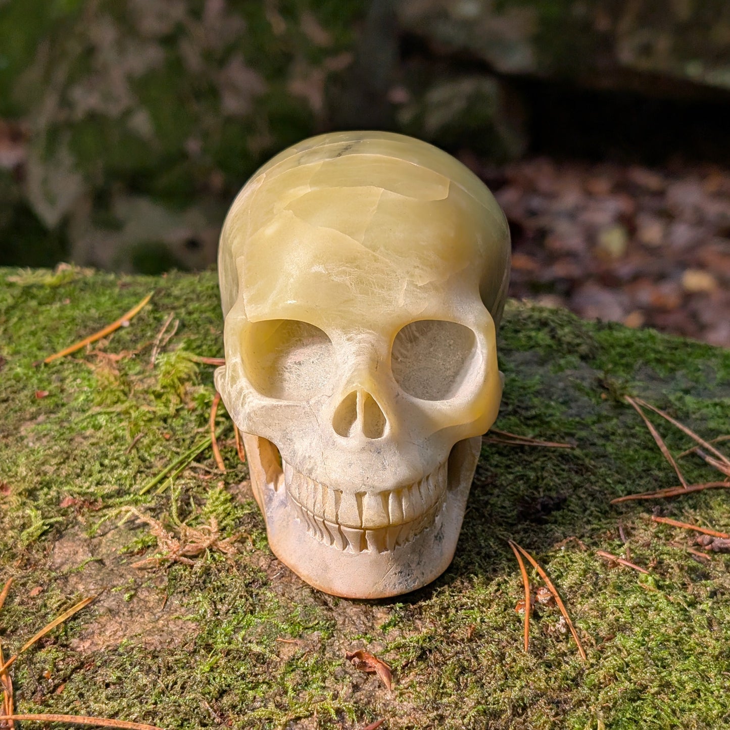 Kristallschädel "Castagir" Serpentin (1.29kg) | Erdung & Transformation