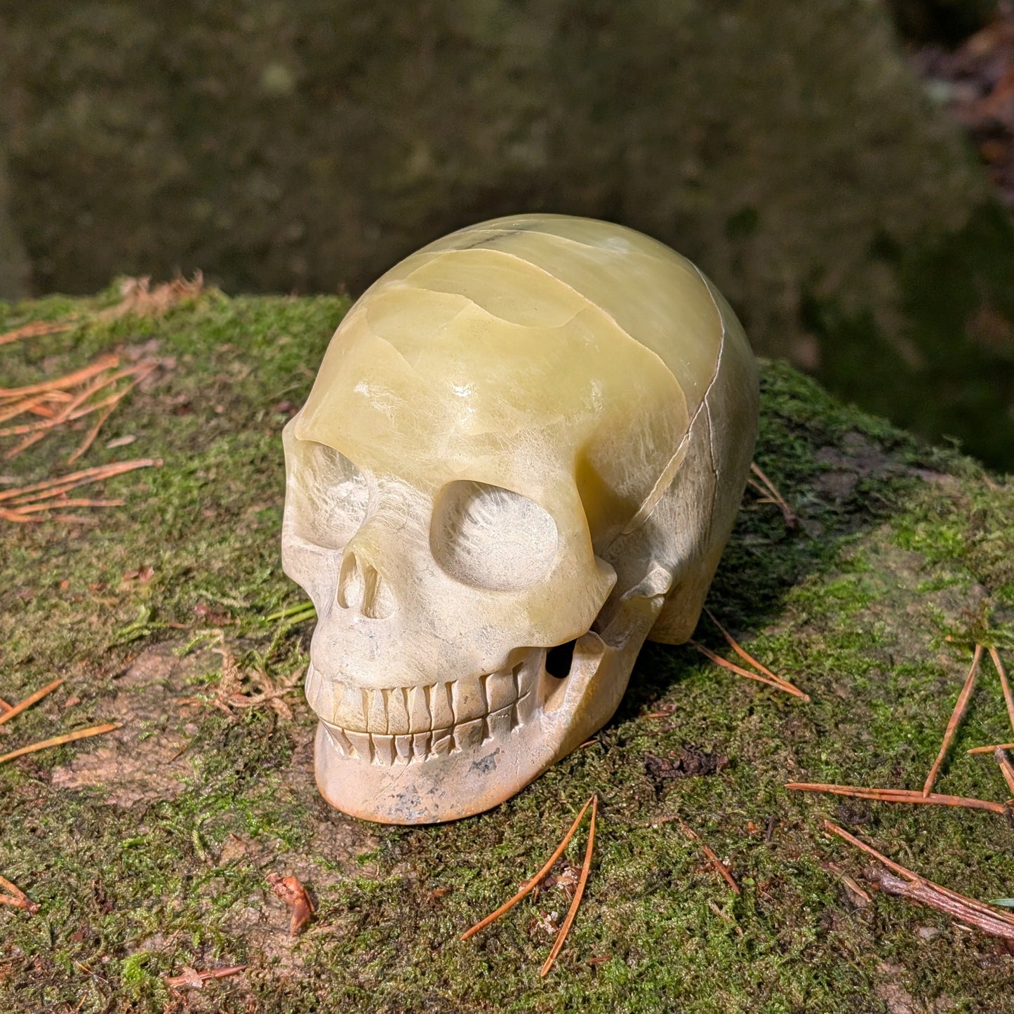 Kristallschädel "Castagir" Serpentin (1.29kg) | Erdung & Transformation