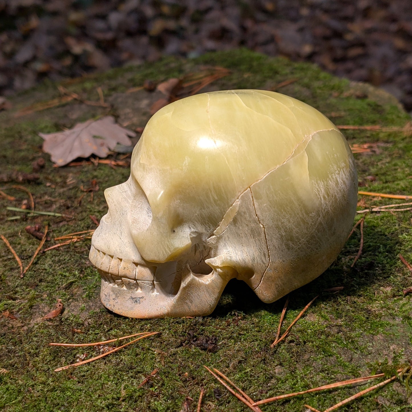 Kristallschädel "Castagir" Serpentin (1.29kg) | Erdung & Transformation