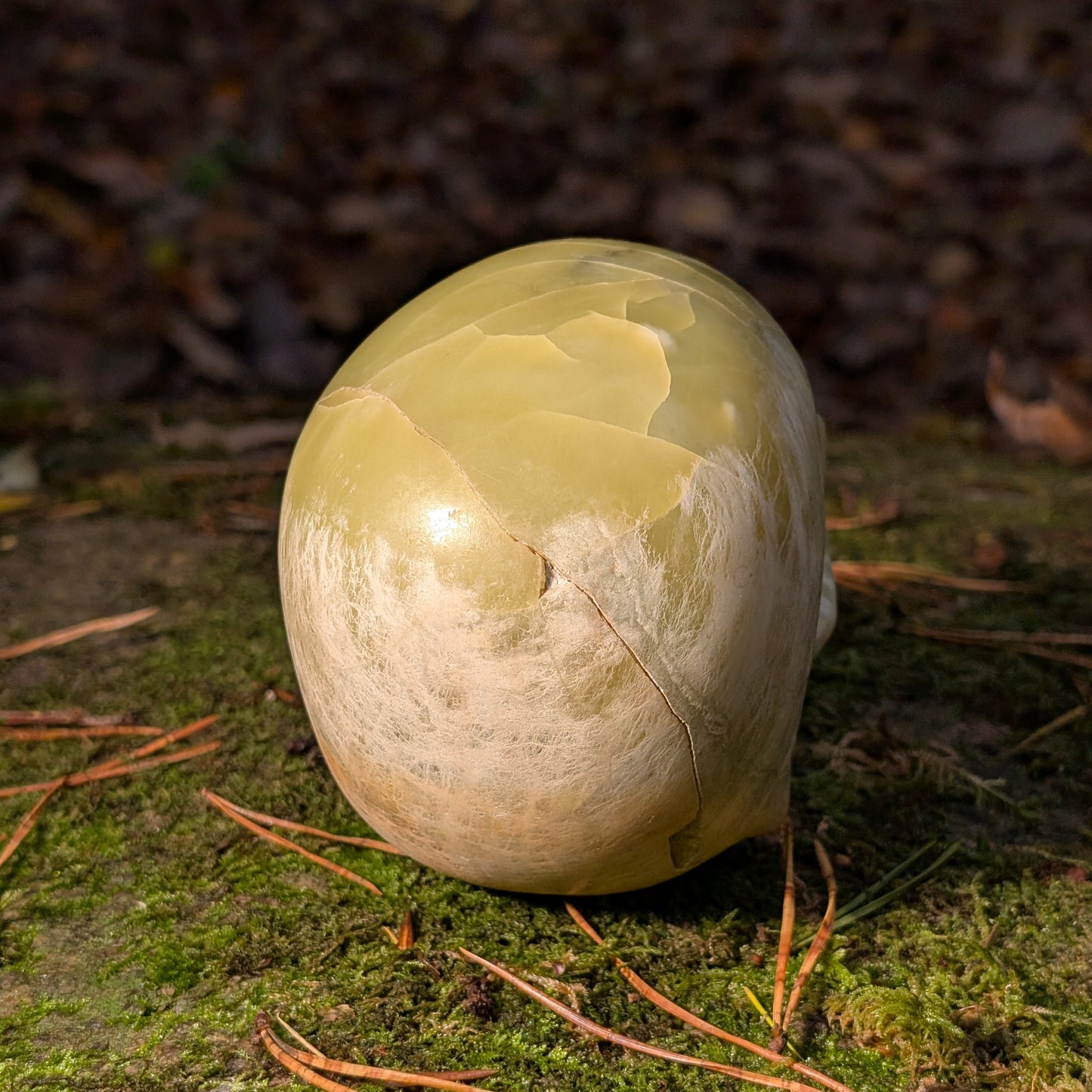 Kristallschädel "Castagir" Serpentin (1.29kg) | Erdung & Transformation