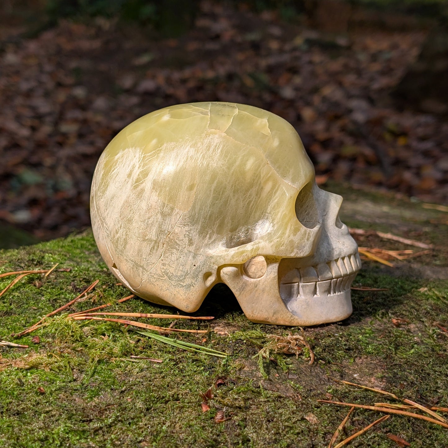 Kristallschädel "Castagir" Serpentin (1.29kg) | Erdung & Transformation