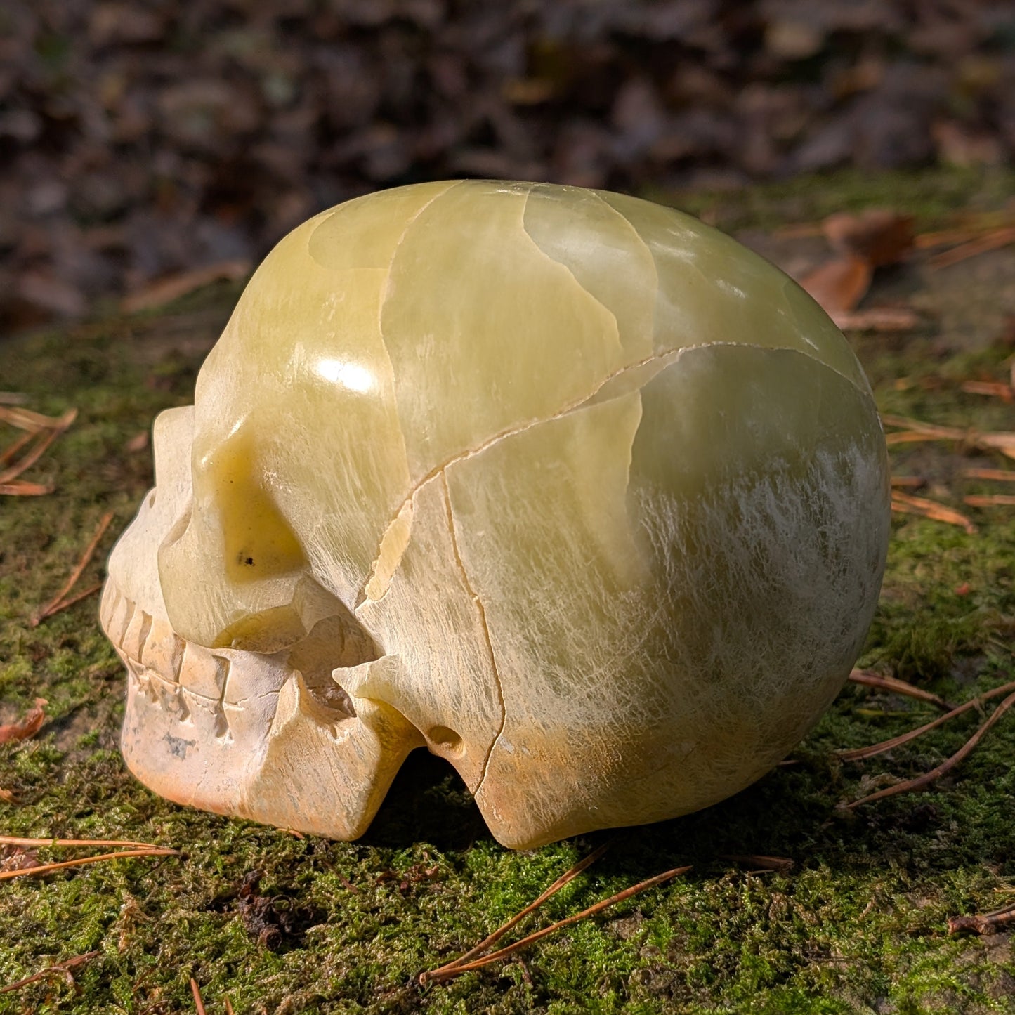 Kristallschädel "Castagir" Serpentin (1.29kg) | Erdung & Transformation