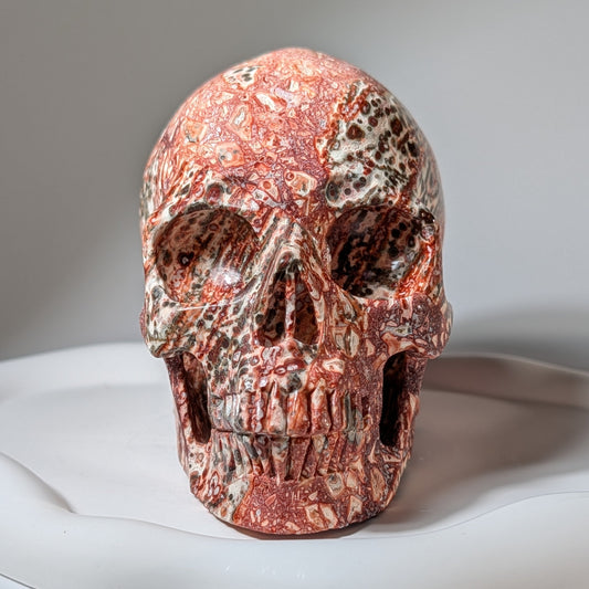 Faszinierender Kristallschädel aus Roter Schaumkoralle (974g). Ein organisches Unikat mit zellenartiger Musterung.