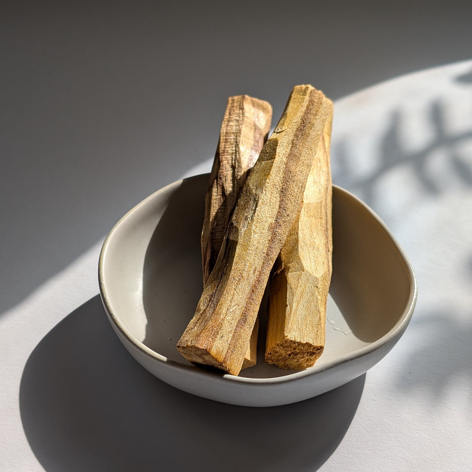Palo Santo | Heiliges Holz 