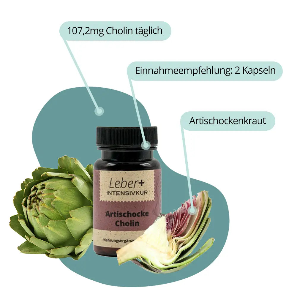 Artischocke-Cholin-Kapseln der Leber+ Box mit Artischocke