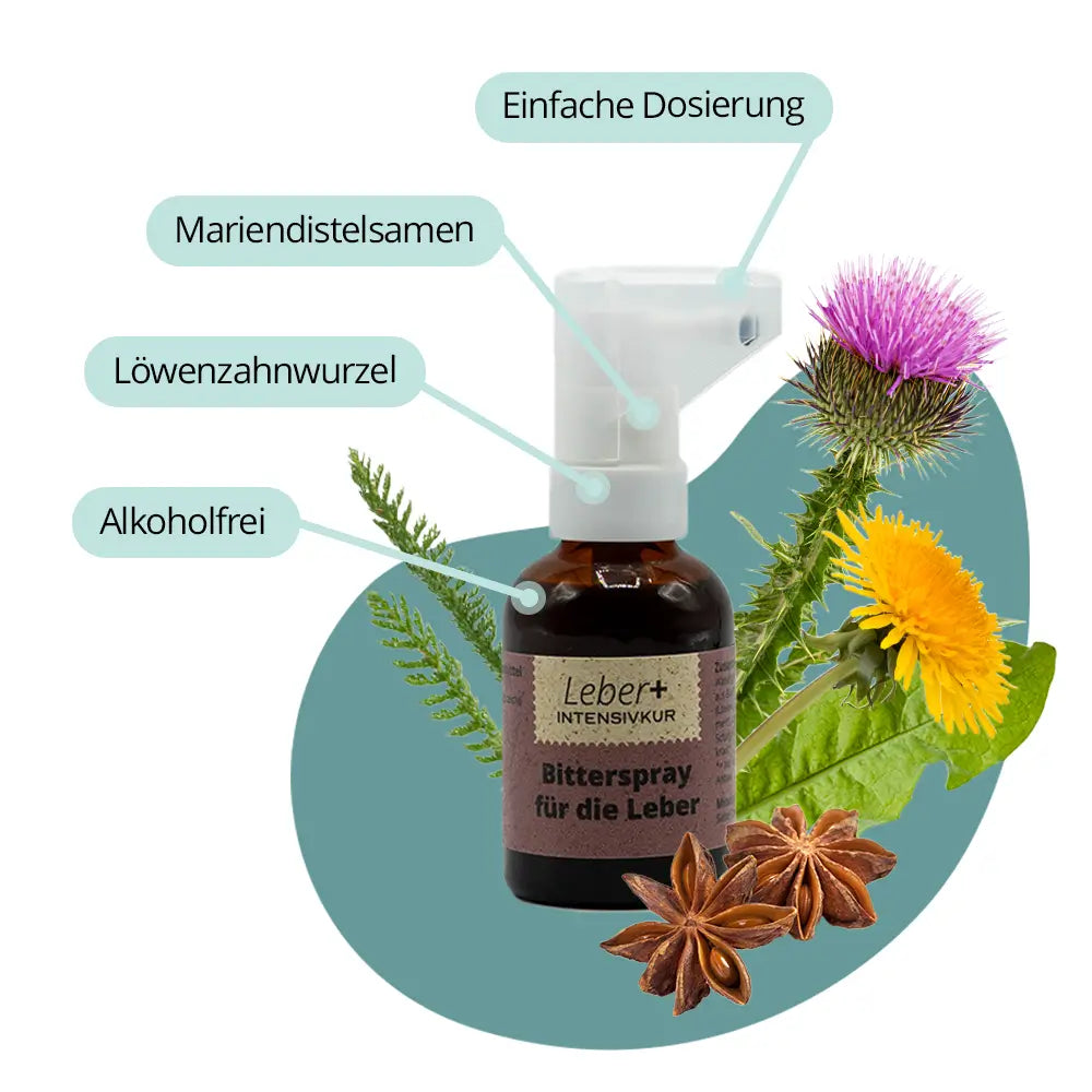 Bitterspray der Leber+ Box mit Mariendistel, Löwenzahn und Anis