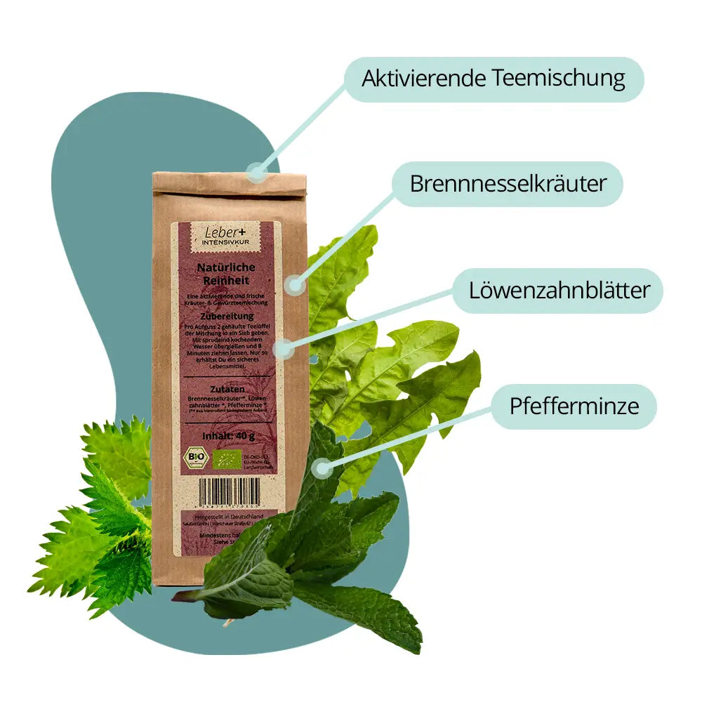 Tee Natürliche Reinheit der Leber+ Box mit Brennnessel und Löwenzahn