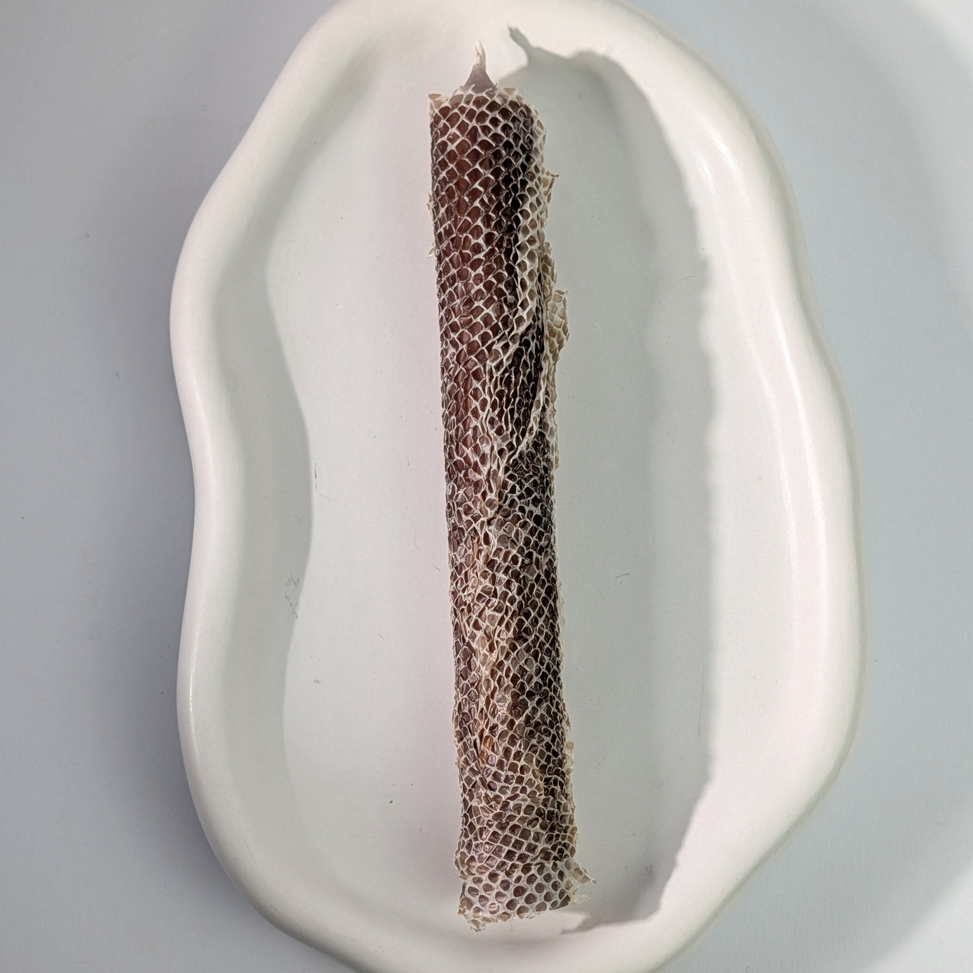 Ritualkerze | Echte Schlangenhaut | Transformation