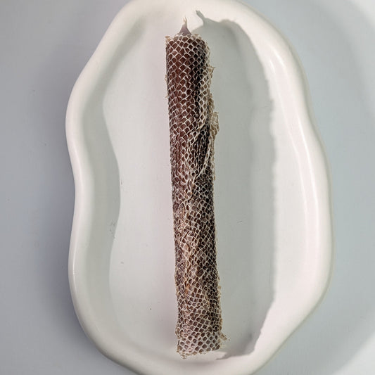 Ritualkerze | Echte Schlangenhaut | Transformation