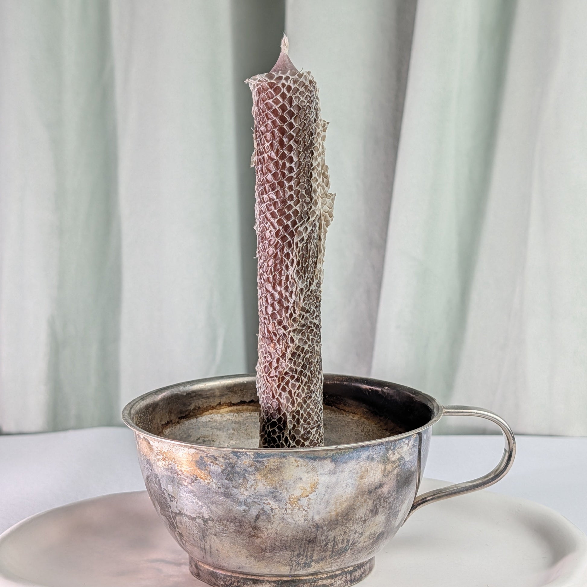 Ritualkerze | Echte Schlangenhaut | Transformation