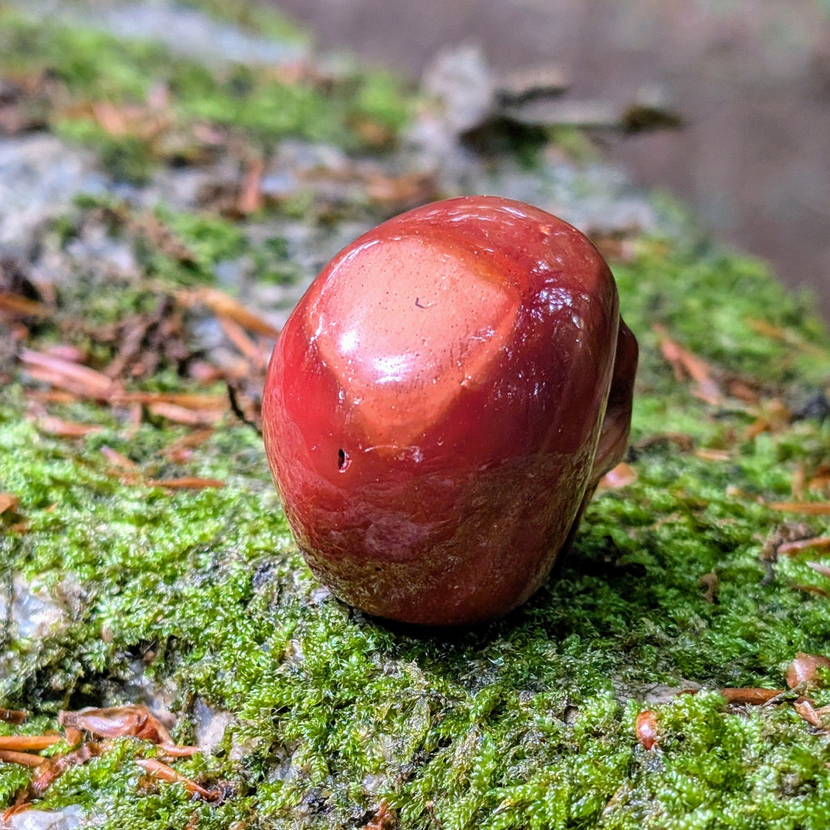 RoterJaspisKristallschaedelGlueckshueter_80g_alsTalisman.2
