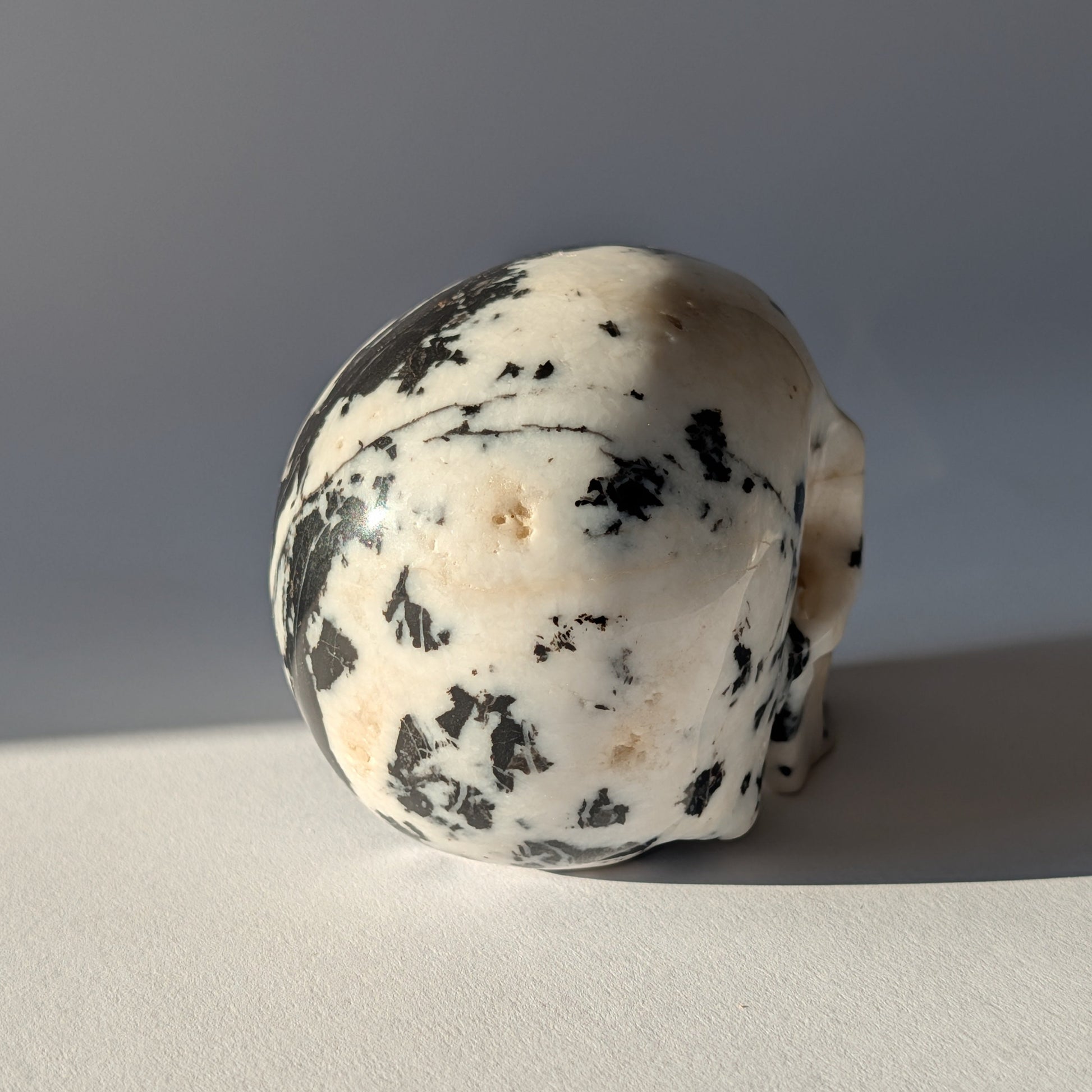 Schwarz-weißer Kristallschädel Gruolun Kalkstein 697g Zebra Muster