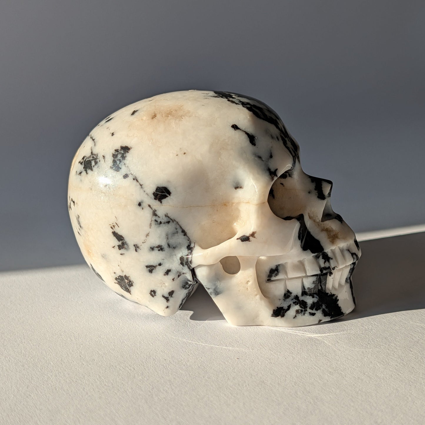 Schwarz-weißer Kristallschädel Gruolun Kalkstein 697g Zebra Muster