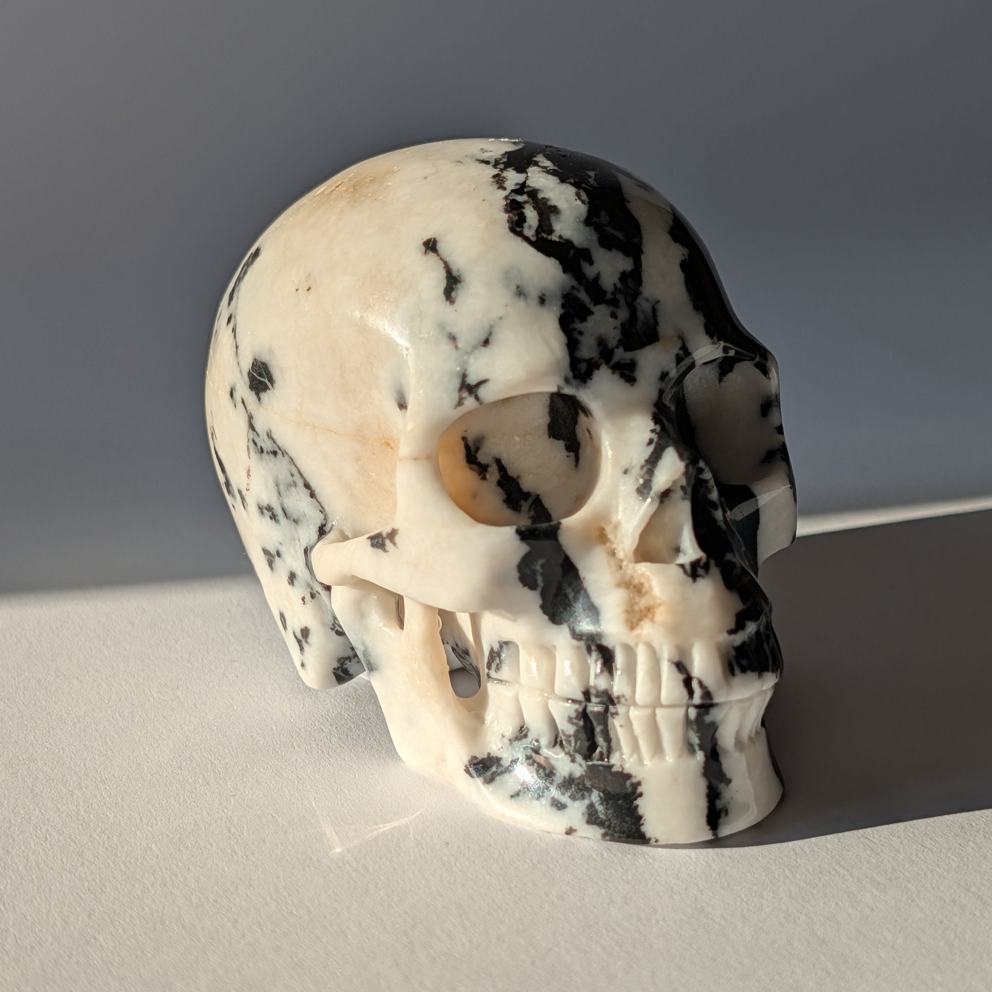 Schwarz-weißer Kristallschädel Gruolun Kalkstein 697g Zebra Muster