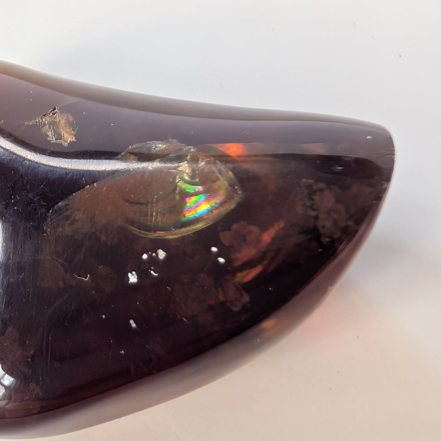 Seltener Bicolor-Bernstein 'Das Iris-Auge der Vorzeit' mit einem Lufteinschluss, der bei Lichteinfall in allen Regenbogenfarben schillert.