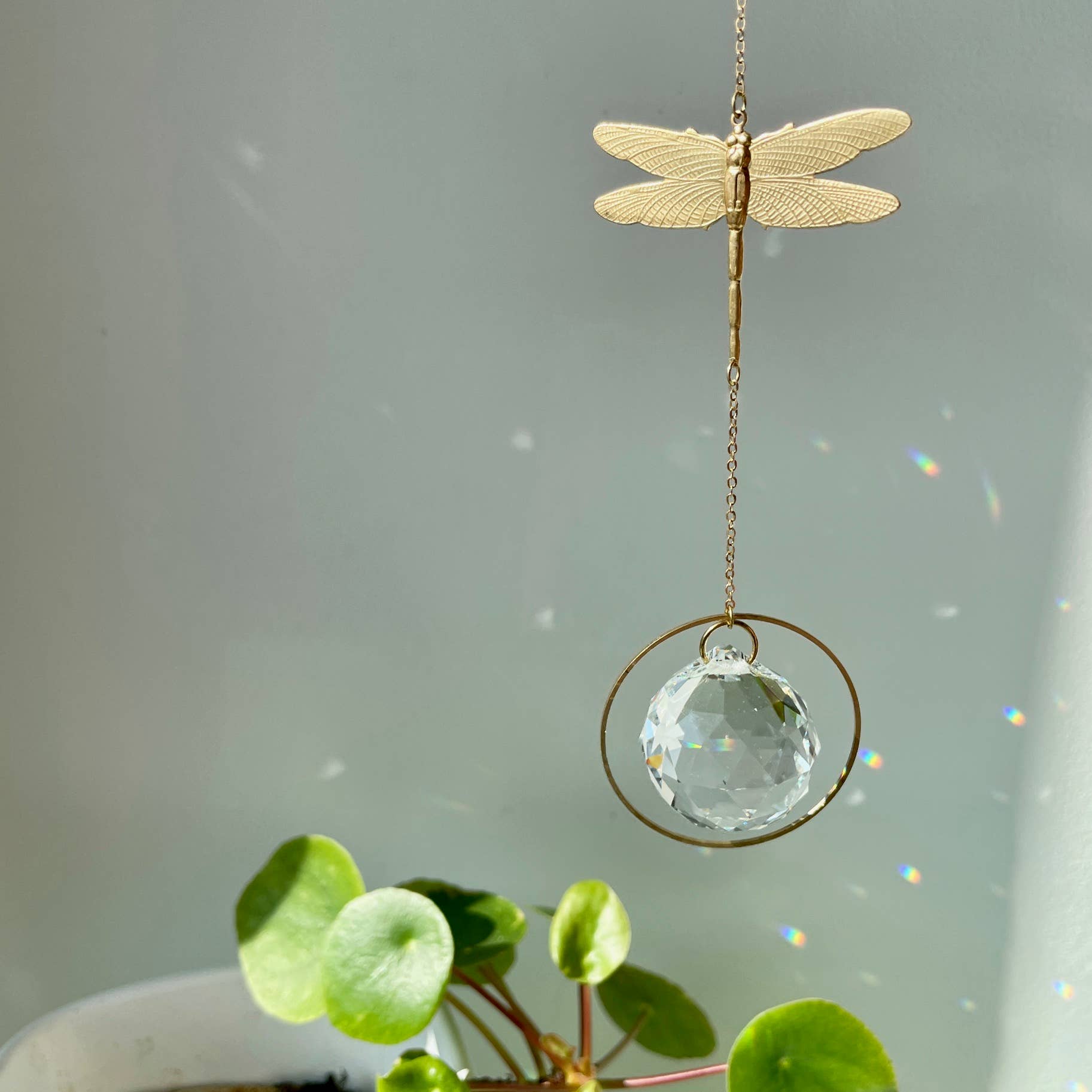 Suncatcher Libelle mit geschliffenem Kristall und Regenbogeneffekten.