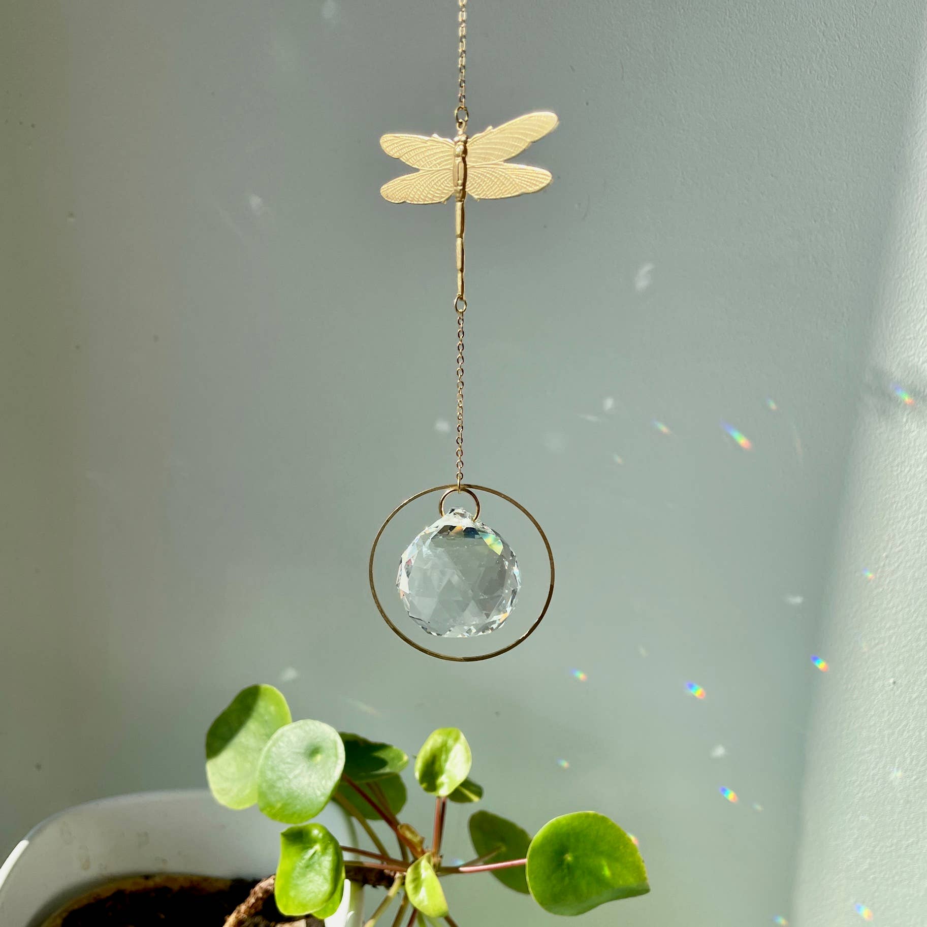 Suncatcher Libelle mit geschliffenem Kristall und Regenbogeneffekten.
