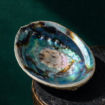 Regenbogen Abalone Paua Muschel | Räucherschale & Ladeschale für Edelsteine