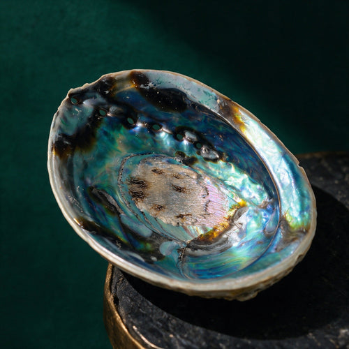 Regenbogen-Abalone-Paua-Muschel als Räucher- und Ladeschale vor tiefem Smaragdgrün