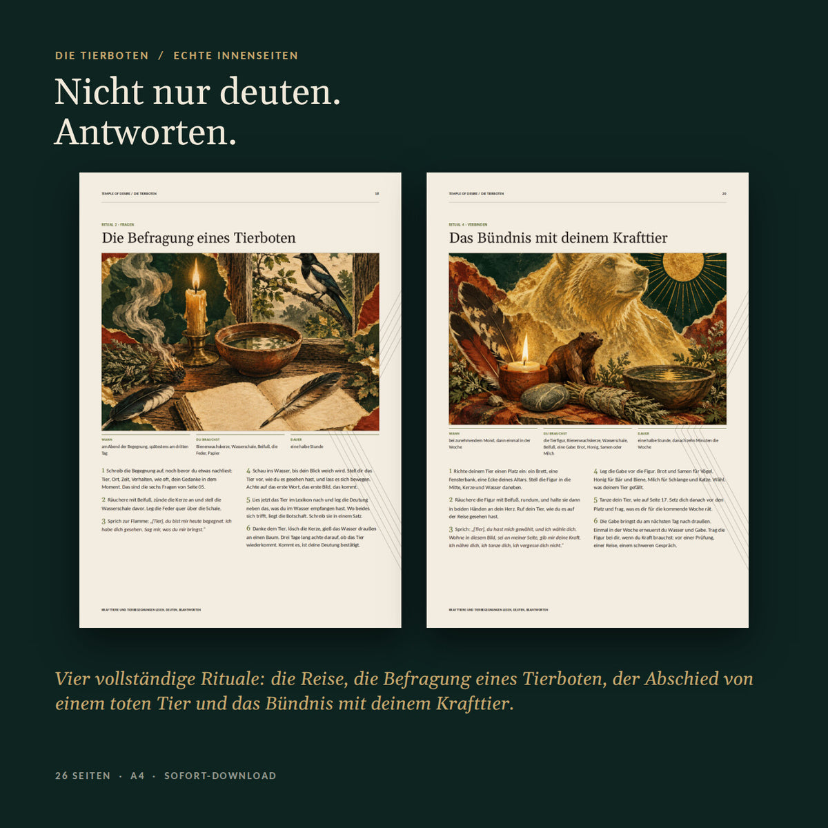 Echte Innenseiten: die Befragung eines Tierboten und das Bündnis mit dem Krafttier