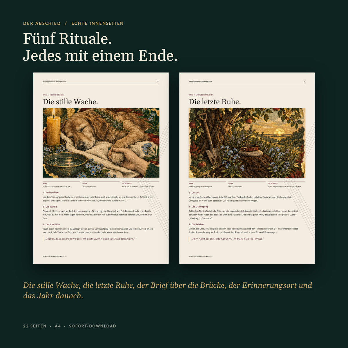 Echte Innenseiten: Die stille Wache und Die letzte Ruhe