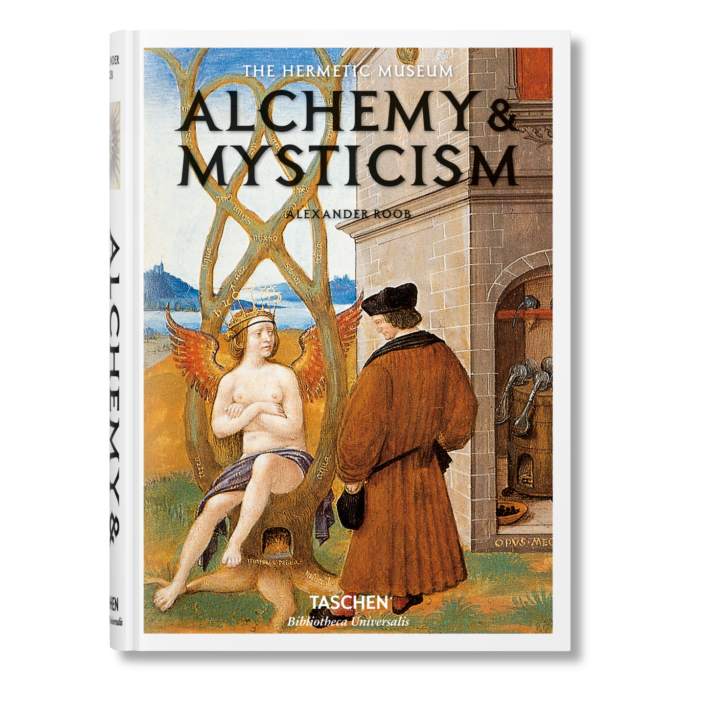 Buchcover Alchemy & Mysticism von TASCHEN