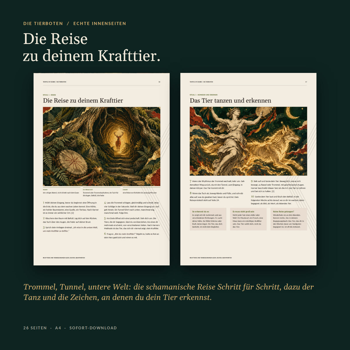 Echte Innenseiten: die Reise zu deinem Krafttier und der Krafttier-Tanz