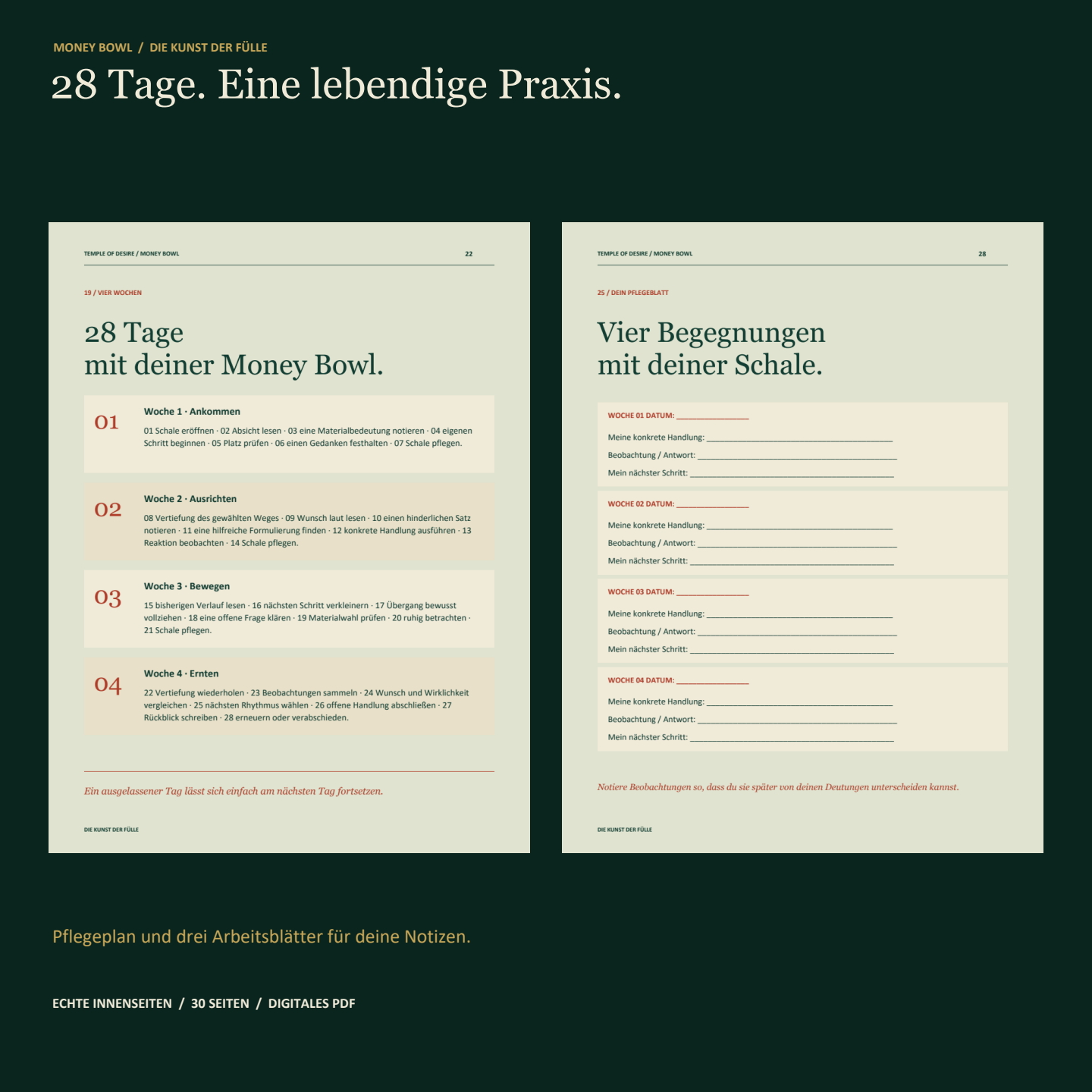 Echte Innenseiten: 28-Tage-Pflegeplan und Arbeitsblatt