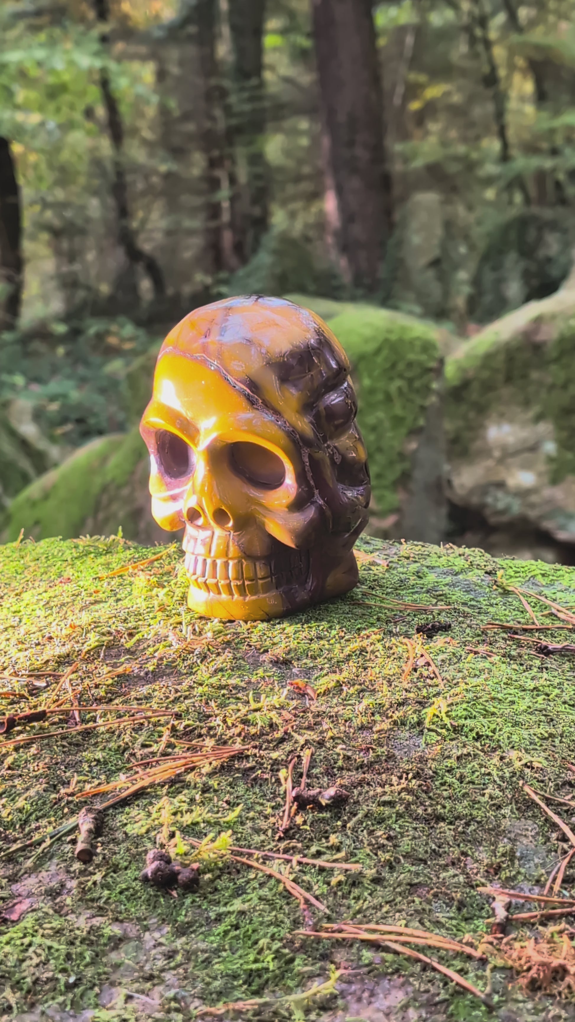 Limitierter Mookait Jaspis Kristallschädel (1,6kg) "Der Wächter der Ahnen" mit ocker-gelben und violetten Mustern auf Moos