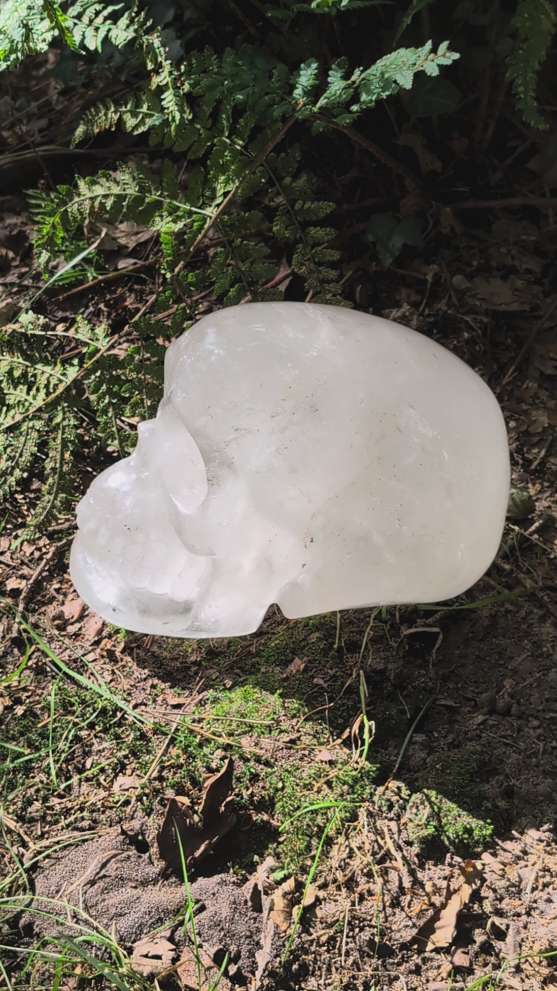 Kristallschädel "Dhanvantari" aus milchigem Quarz.