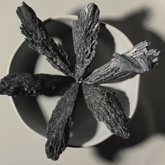 Schwarzer Kyanit Rohstein | Hexenbesen | Schutz & Erdung