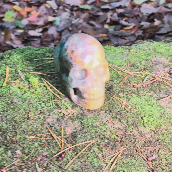 Großer Kristallschädel "Arduin" (1.6kg) aus Regenbogenfluorit mit grünen und goldenen Zonen, auf Moos liegend.