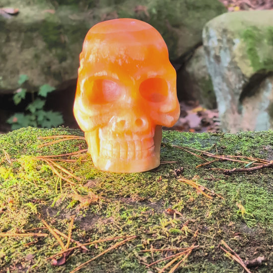Limitierter Orangencalcit Kristallschädel (1,56kg), "Der Sonnen-Gesandte von Bali", leuchtet in tiefem Orange