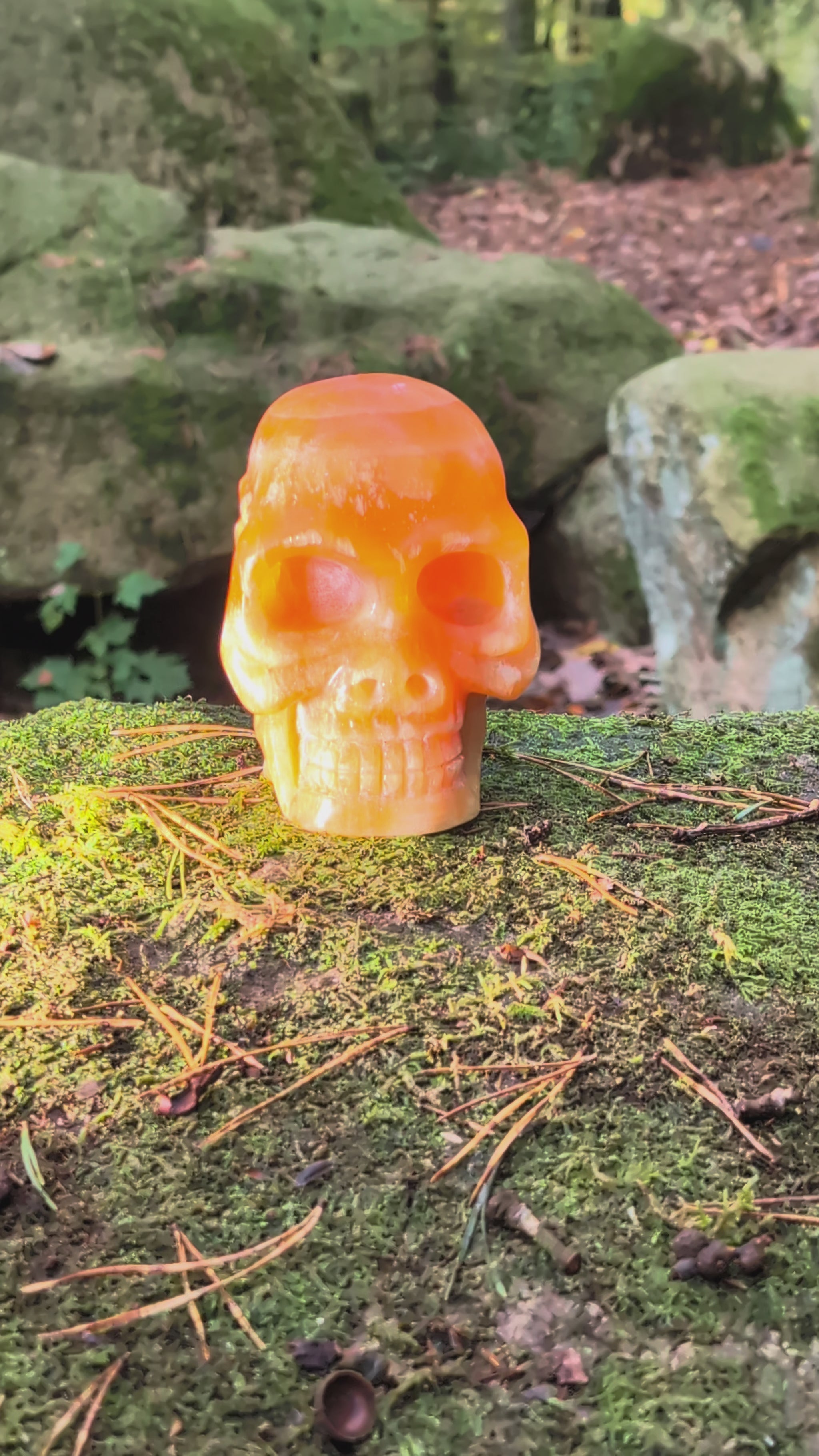 Limitierter Orangencalcit Kristallschädel (1,56kg), "Der Sonnen-Gesandte von Bali", leuchtet in tiefem Orange