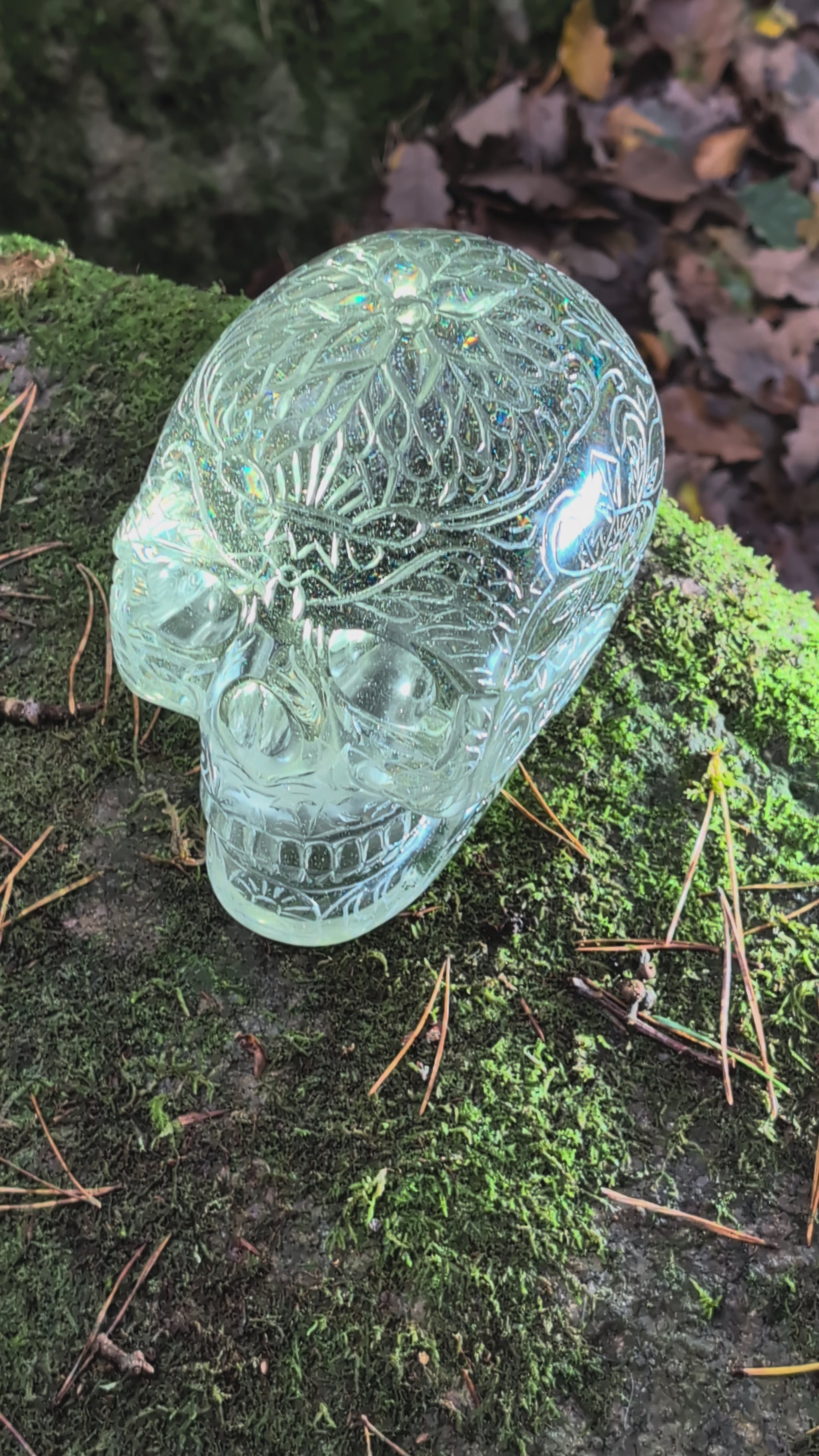 Monumentaler 6.4kg Kristallschädel "Hekate" aus gelbem Obsidian mit vollflächiger Handgravur, auf Moos im Wald liegend.